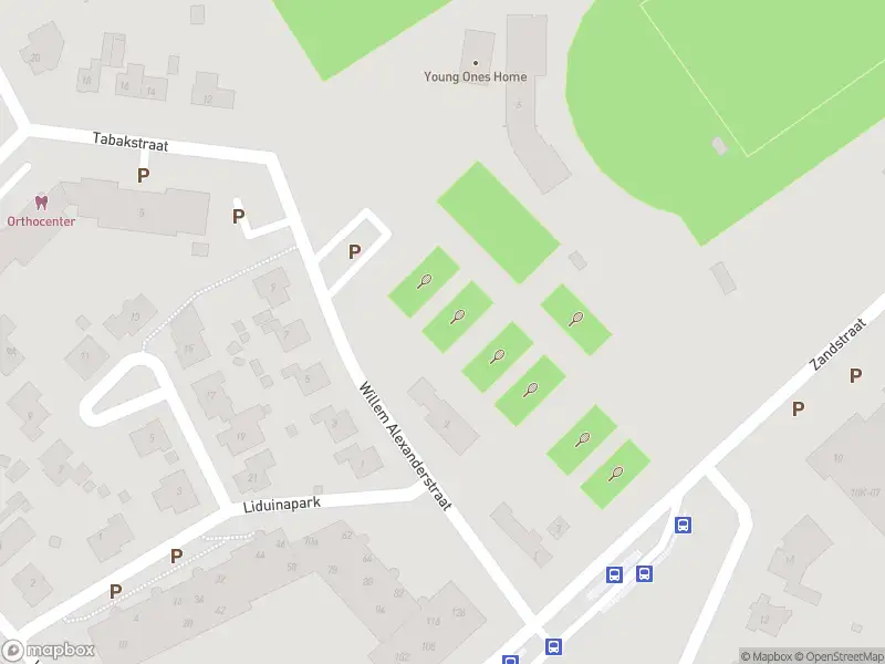 Overlastmelding Willem-Alexanderstraat in Hulst