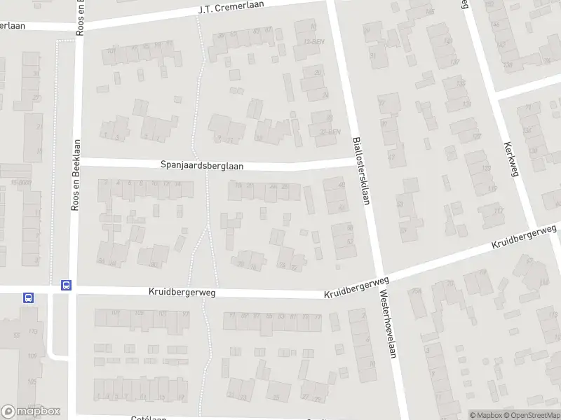 Overlastmelding Westerhoevelaan in Santpoort-Noord