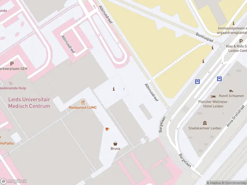 Ambulance met gepaste spoed naar de Brugmansplein in Leiden