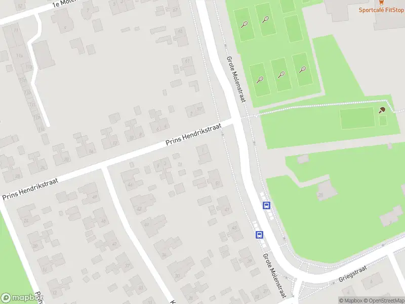 Overlastmelding Prins Hendrikstraat in Elst