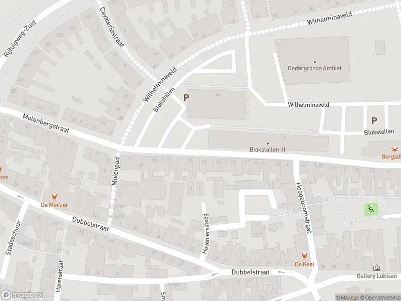 Brandweer met gepaste spoed naar de Dubbelstraat in Bergen op Zoom