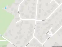 Brandweer met grote spoed naar de Bosstraat in Beegden