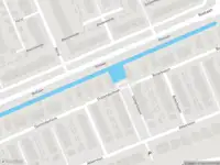 Overlastmelding Duizendschoon in Hendrik-Ido-Ambacht