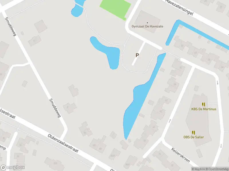 Brandweer met gepaste spoed naar de Irisstraat in Losser