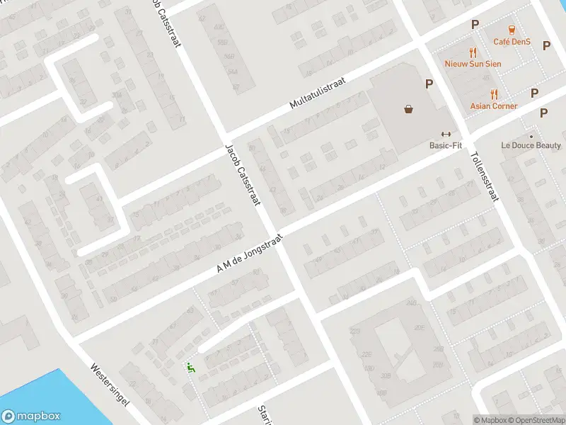 Ambulance met grote spoed naar de Jacob Catsstraat in Spijkenisse