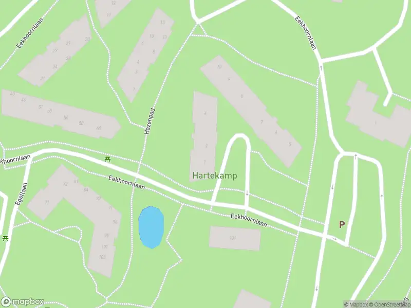 Ambulance met gepaste spoed naar de Bosuilplein in Heemstede