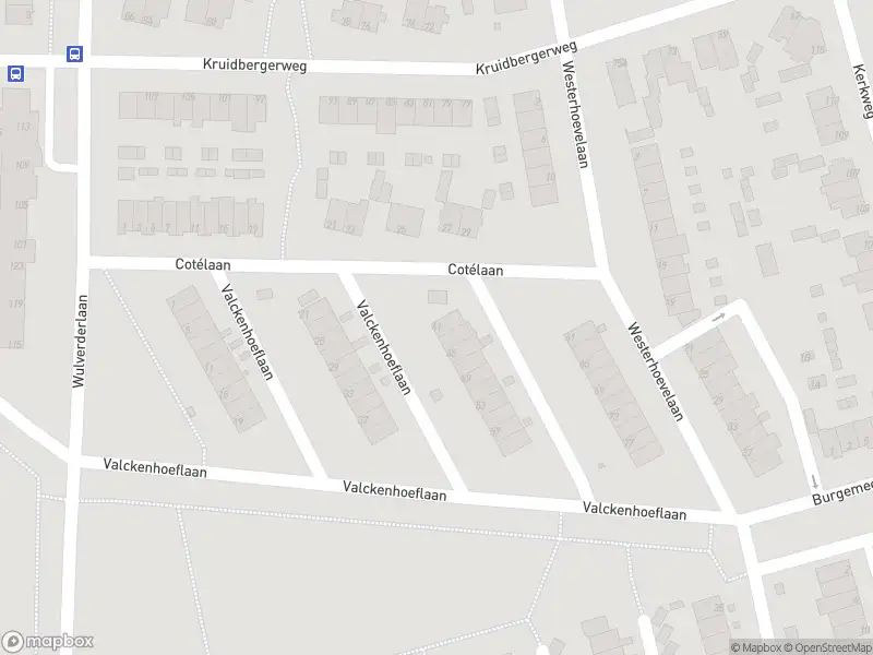 Overlastmelding Valckenhoeflaan in Santpoort-Noord