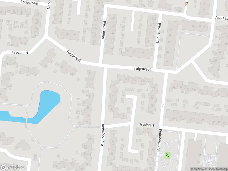 Overlastmelding Klaprooslaan in 's-Gravendeel