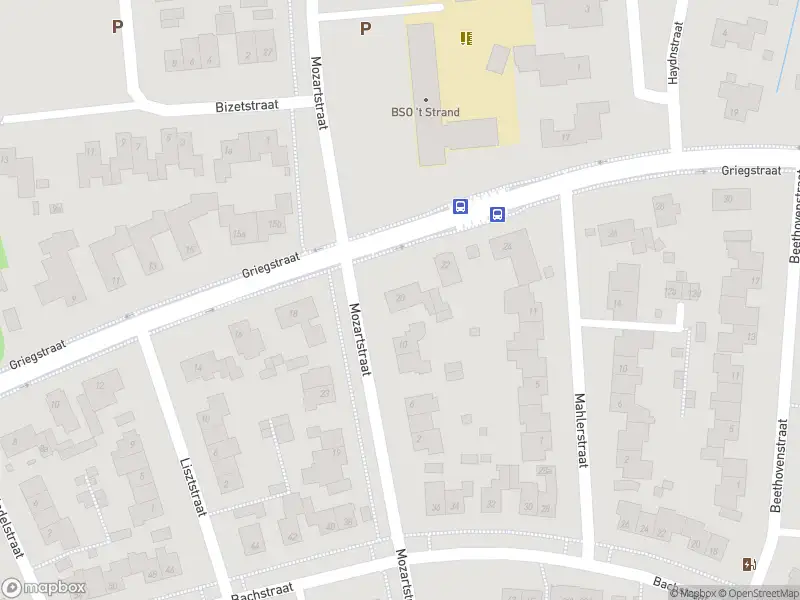 Overlastmelding Griegstraat in Elst gesloten