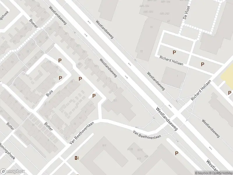 Overlastmelding Drijver in Maassluis