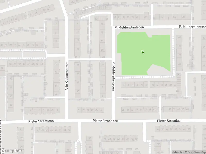 Overlastmelding P. Mulderplantsoen in Den Helder