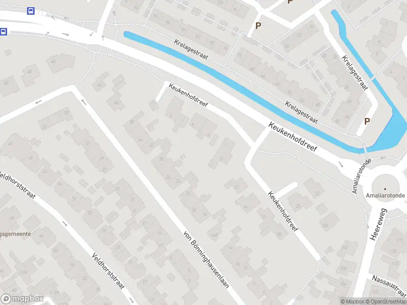 Overlastmelding Keukenhofdreef in Lisse gesloten