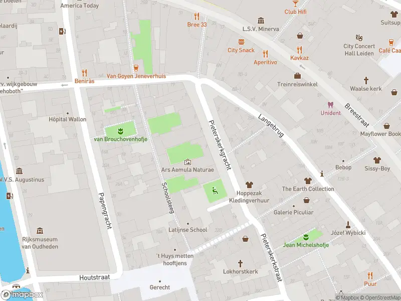 Ambulance met gepaste spoed naar de Pieterskerkgracht in Leiden