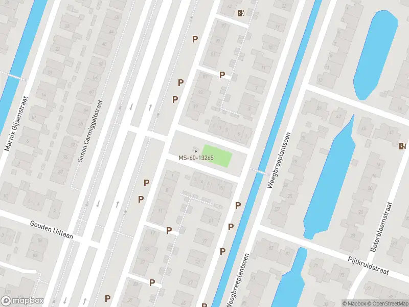 Ambulance met gepaste spoed naar de Carry van Bruggenplantsoen in Berkel en Rodenrijs