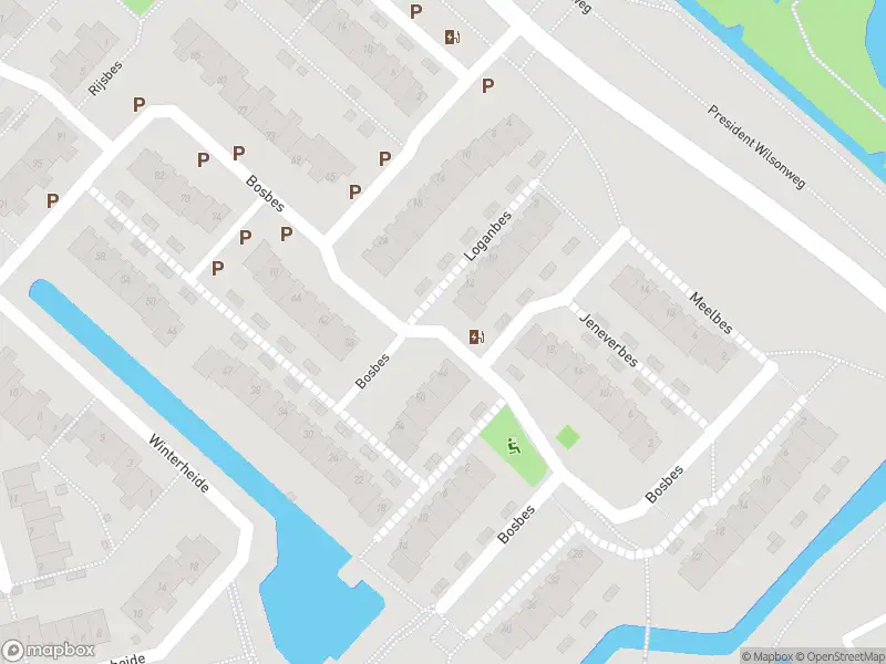 Ambulance met gepaste spoed naar de Bosbes in Rotterdam