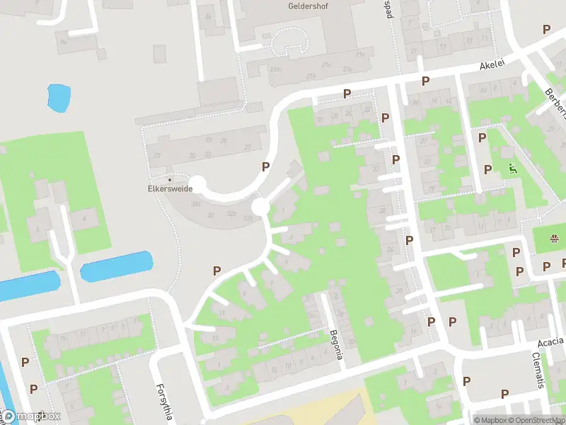 Ambulance met gepaste spoed naar de Hortensia in Dirksland