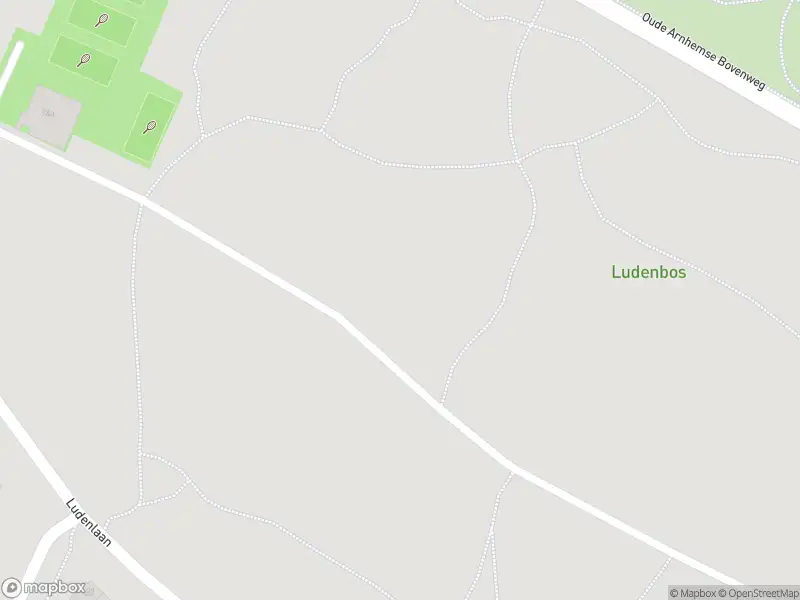 Politie naar de Woestduinlaan in Doorn vanwege aanrijding met letsel