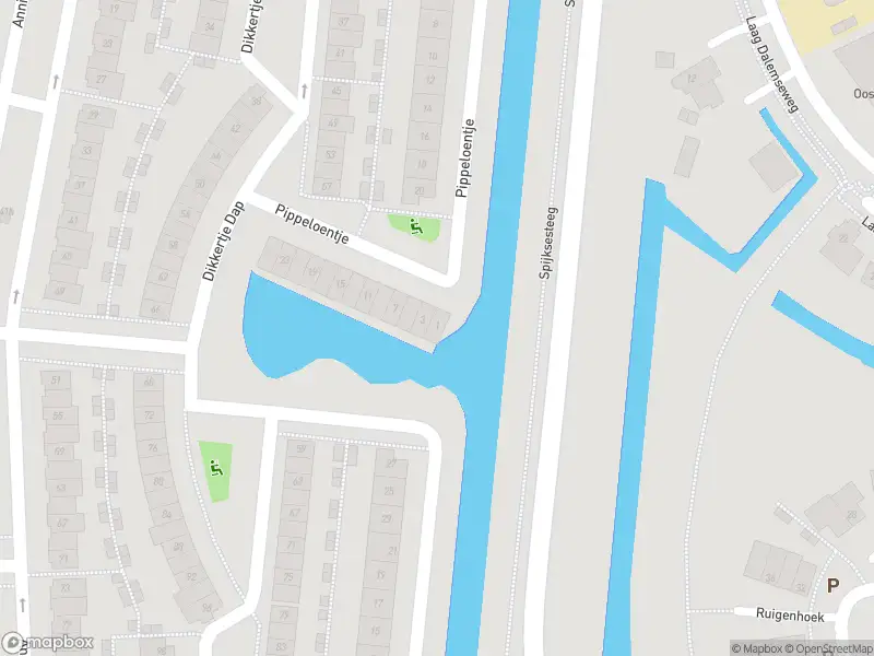 Ambulance met gepaste spoed naar de Pippeloentje in Gorinchem