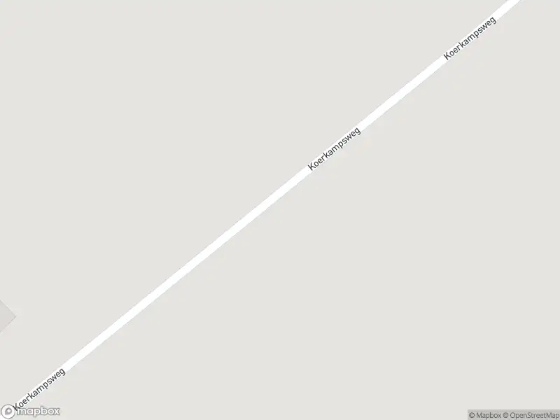 Brandweer met gepaste spoed naar de Oerdijk in Lettele