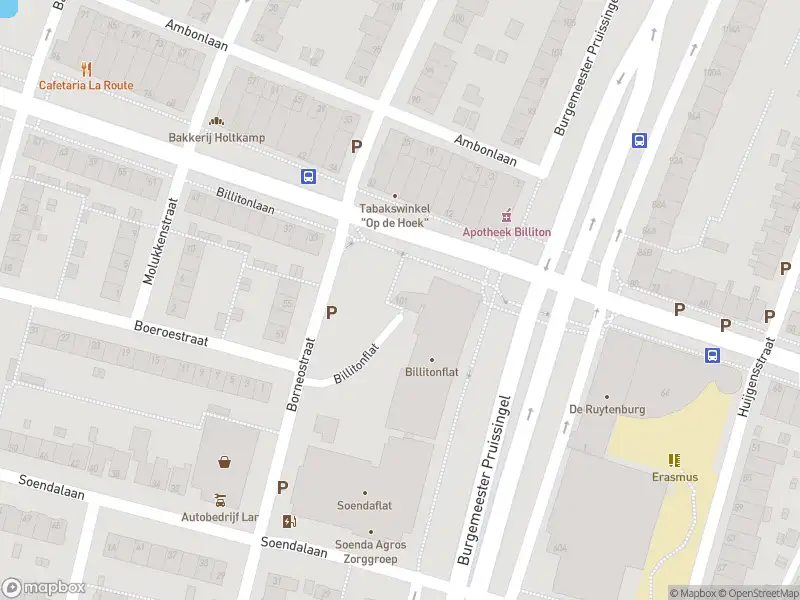 Ambulance met gepaste spoed naar de Billitonflat in Vlaardingen