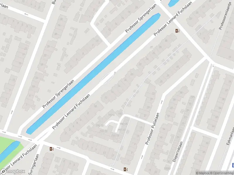 Ambulance naar de Prof. Leonard Fuchslaan in Utrecht