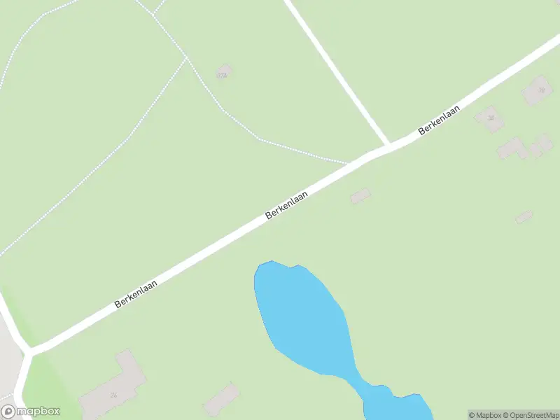 Overlastmelding Berkenlaan in Loon op Zand