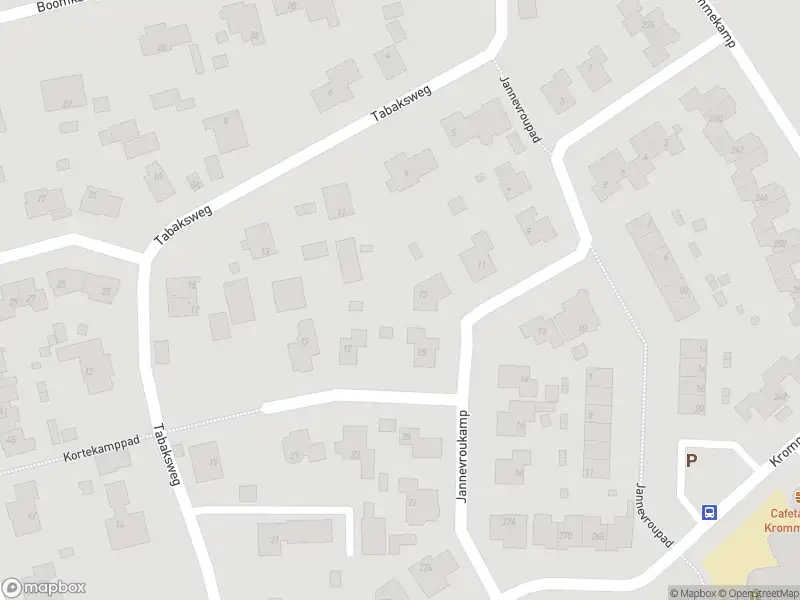 Traumahelikopter naar de Tabaksweg in Harderwijk