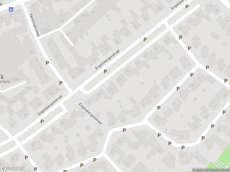 Overlastmelding Karolingersweg in 5616HX Eindhoven