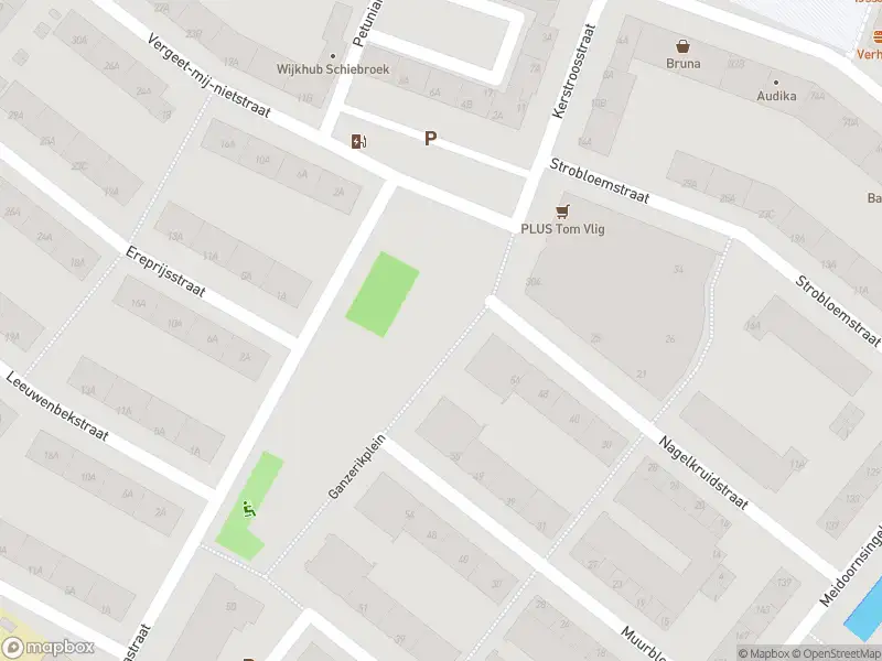 Ambulance met gepaste spoed naar de Ganzerikplein in Rotterdam