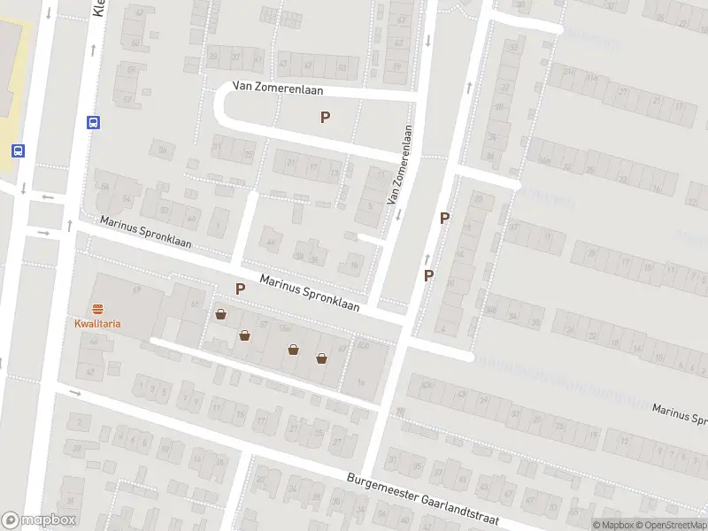 Overlastmelding Van Zomerenlaan in Gorinchem