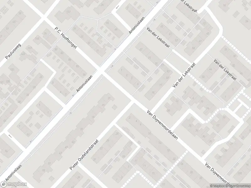 Overlastmelding Van Duyvenvoordelaan in Hendrik-Ido-Ambacht