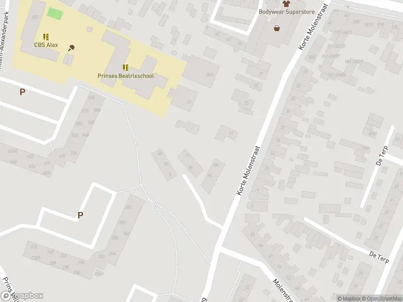 Politie naar de Korte Molenstraat in Veenendaal vanwege aanrijding met letsel