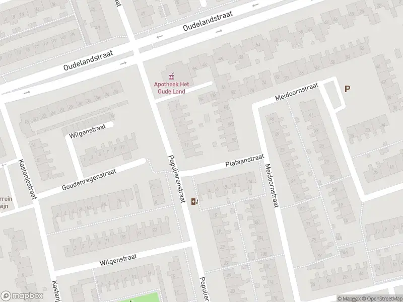 Brandweer met gepaste spoed naar de Zandeveltplein in 's-Gravenzande