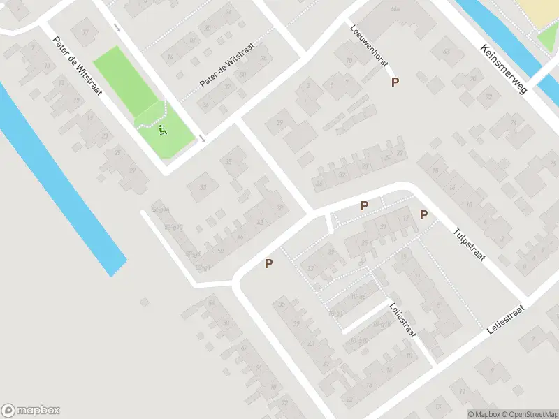 Overlastmelding Tulpstraat in 't Zand