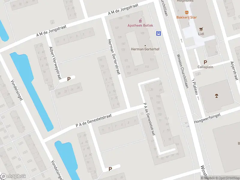 Ambulance met gepaste spoed naar de Herman Gorterstraat in Spijkenisse