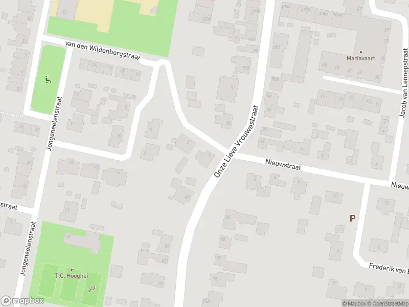 Overlastmelding Onze-Lieve-Vrouwestraat in Zegge gesloten