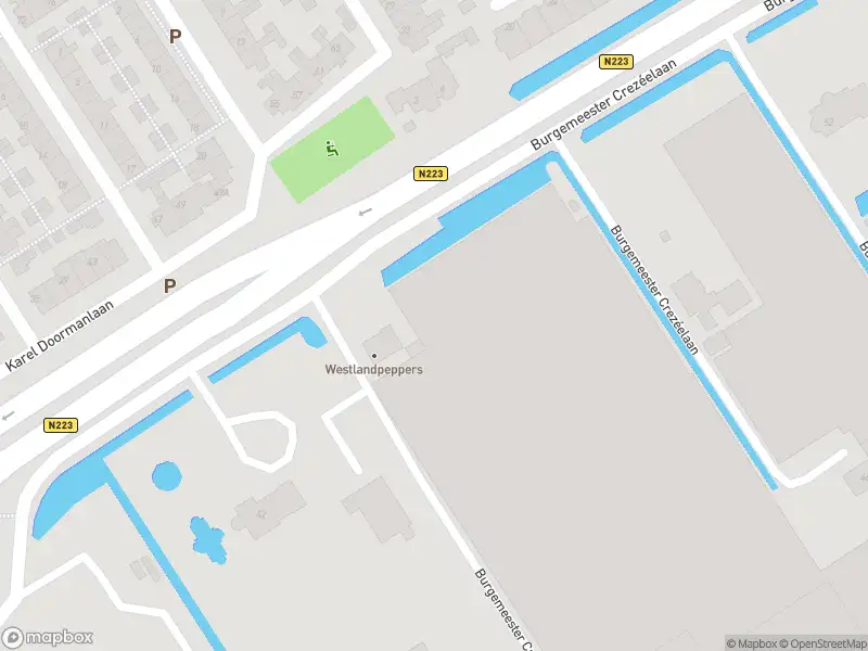 Brandweer met gepaste spoed naar de Hoofdstraat in De Lier
