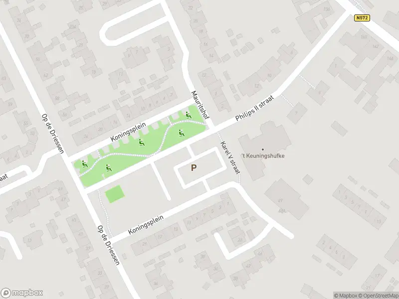Overlastmelding Koningsplein in Koningsbosch