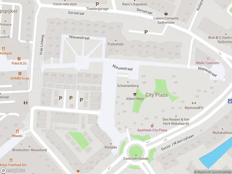 Ambulance met gepaste spoed naar de Nieuwstraat in Spijkenisse