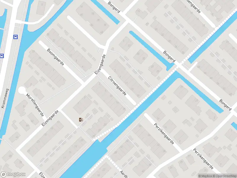 Overlastmelding Citroengaarde in Hendrik-Ido-Ambacht