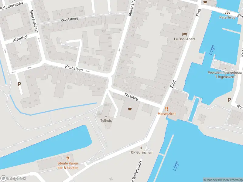 Politie naar de Tolsteeg in Gorinchem