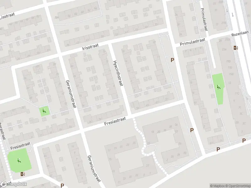 Ambulance met gepaste spoed naar de Hyacinthstraat in Spijkenisse