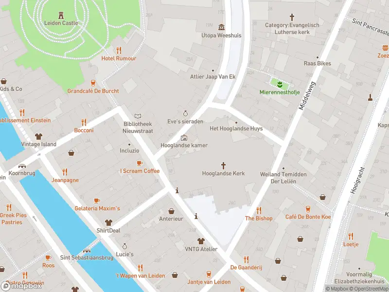 Ambulance met gepaste spoed naar de Nieuwstraat in Leiden