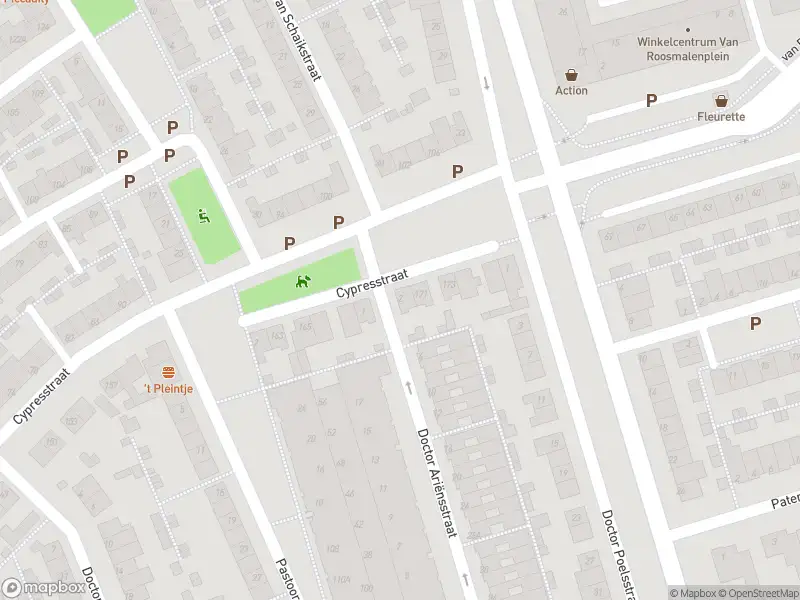 Overlastmelding Dr. Ariënsstraat in 's-Hertogenbosch