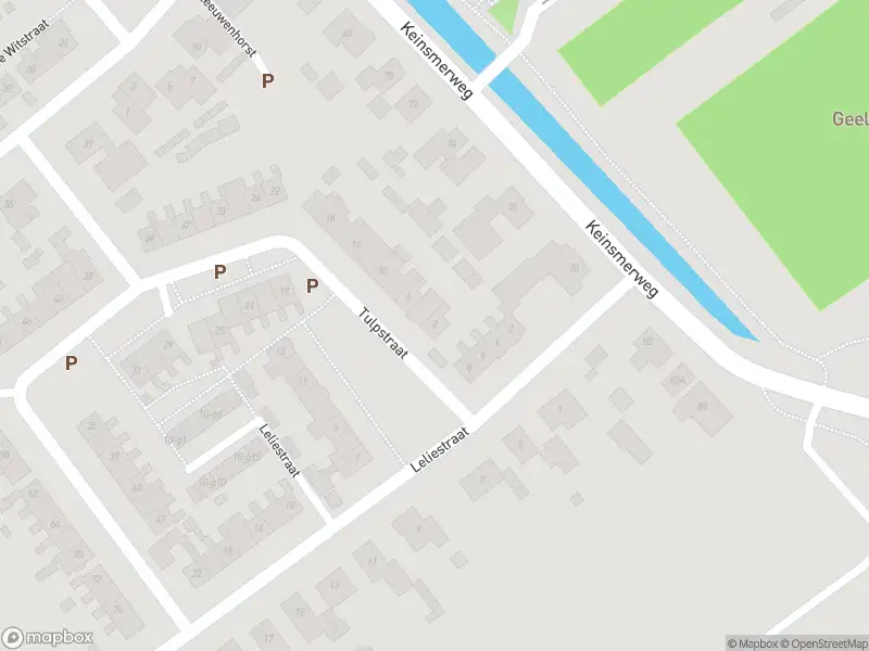Overlastmelding Tulpstraat in 't Zand
