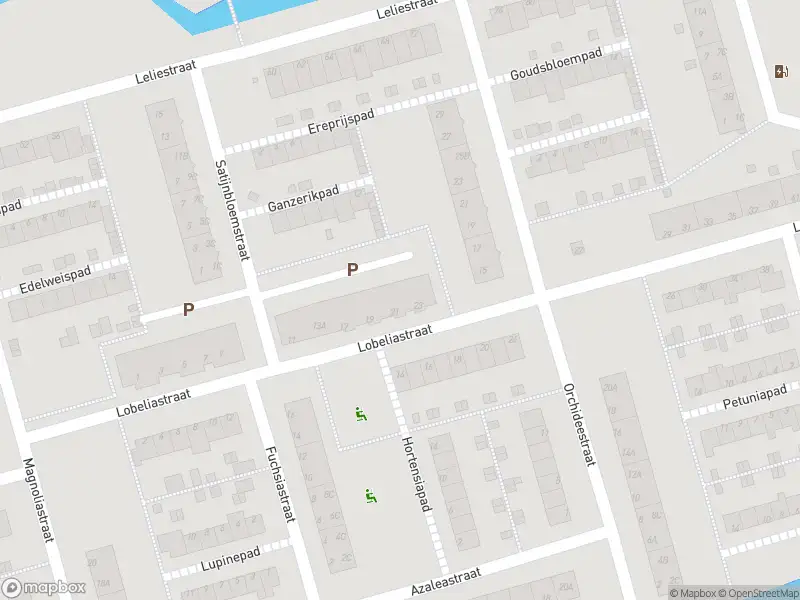 Ambulance met gepaste spoed naar de Lobeliastraat in Spijkenisse