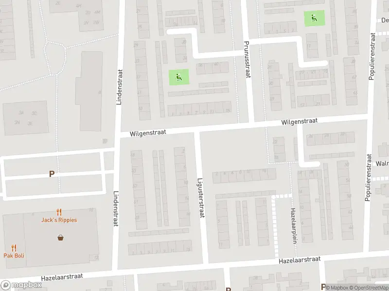 Ambulance met gepaste spoed naar de Wilgenstraat in Spijkenisse
