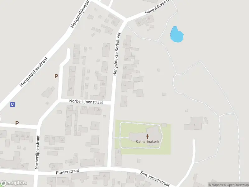 Overlastmelding Hengstdijkse Kerkstraat in Hengstdijk