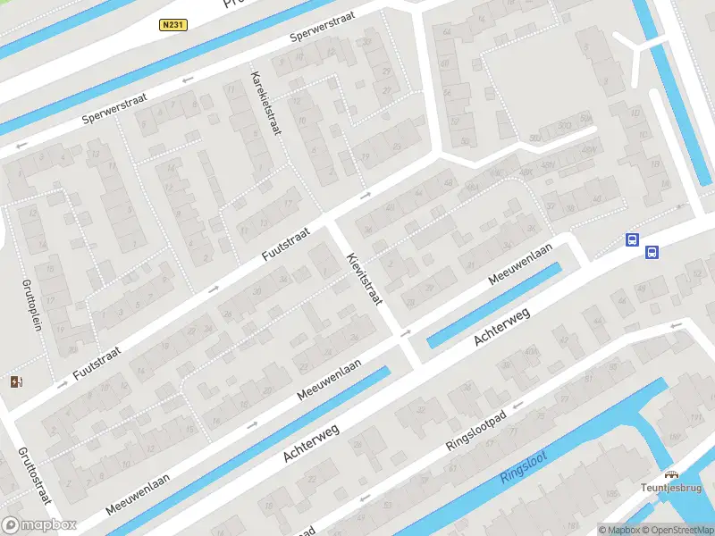 Ambulance met gepaste spoed naar de Kievitstraat in Nieuwkoop