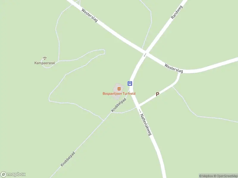 Ambulance met gepaste spoed naar de Nattevlakweg in Den Burg